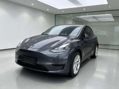 Tesla Model Y Rear-Wheel Drive - ფოტო 1