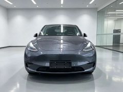 Tesla Model Y Rear-Wheel Drive - ფოტო 2