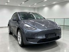 Tesla Model Y Rear-Wheel Drive - ფოტო 3