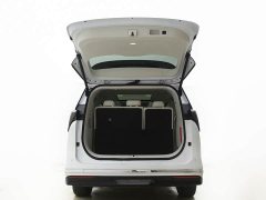 Buick GL8 New Energy Luxe Premium 7-Seater - ფოტო 7