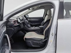 BYD Destroyer 05 Champion Edition DM-i 55KM Luxury - ფოტო 10