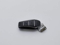 BYD Destroyer 05 Champion Edition DM-i 55KM Luxury - ფოტო 19