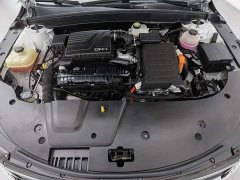 BYD Destroyer 05 Champion Edition DM-i 55KM Luxury - ფოტო 6