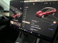 Tesla Model Y Standard Range RWD - ფოტო 9