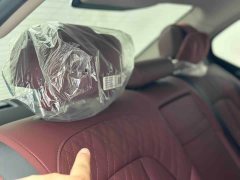 BMW 3 Series 320Li M Sport Package - ფოტო 11