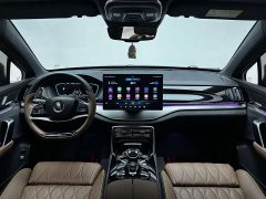 BYD Tang New Energy 2021 DM-i 112KM Premium Edition - ფოტო 13