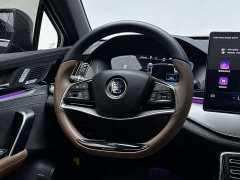 BYD Tang New Energy 2021 DM-i 112KM Premium Edition - ფოტო 14