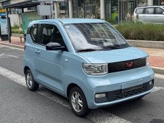 BMW Hongguang MINIEV Macaron Premium Edition LFP - ფოტო 3