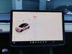 Tesla Model 3 2022 Rear-Wheel Drive - ფოტო 13