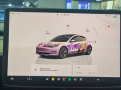 Tesla Model 3 2022 Rear-Wheel Drive - ფოტო 14