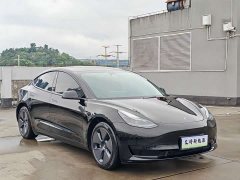 Tesla Model 3 2022 Rear-Wheel Drive - ფოტო 3