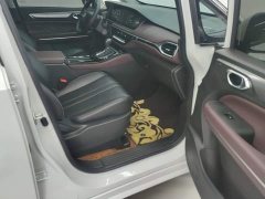 GAC Aion M6 PRO 270T DCT Luxury - ფოტო 8