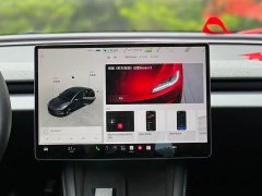 Tesla Model 3 2023 Rear-Wheel Drive - ფოტო 12