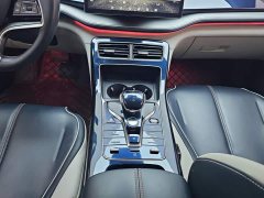 BYD Qin Plus 2021 EV 500KM Luxury - ფოტო 16