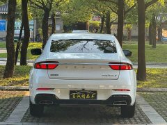 Geely Xingui Xingrui Dongfang Yao 1.5TD Fuyao Edition - ფოტო 13