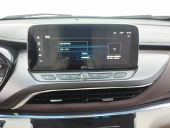 Buick GL8 Land Executive Cabin 652T Premium - ფოტო 10