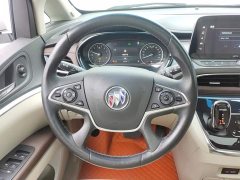 Buick GL8 Land Executive Cabin 652T Premium - ფოტო 12