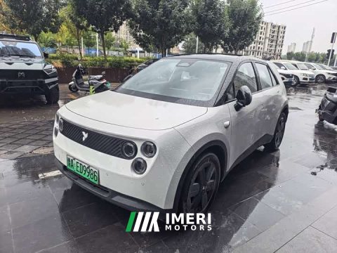 2025 Volkswagen Firefly Nocturnal Creature Special Edition - ავტომობილი ჩინეთიდან