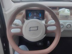 FAW Besturn Xiaoma 222km Colorful Edition - photo 15