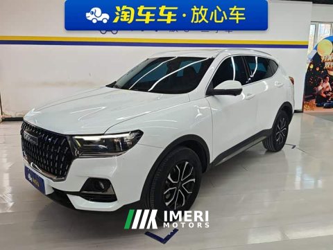 2023 Haval H6 National Trend Edition 1.5T Automatic Urban Version - ავტომობილი ჩინეთიდან