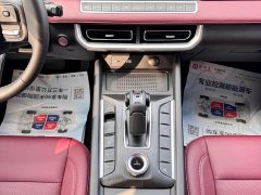 Geely Cannon 2023 2.0T Off-Road Auto Gasoline 4WD Everest Edition - ფოტო 10