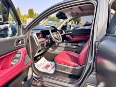 Geely Cannon 2023 2.0T Off-Road Auto Gasoline 4WD Everest Edition - ფოტო 5