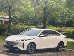 Changan Yida Blue Whale NE 1.5T GDI DCT Navigator - ფოტო 1