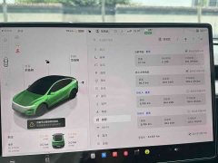 Tesla Model Y Long Range All-Wheel Drive - ფოტო 7
