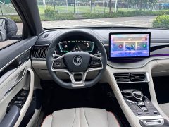 BYD Song Plus New Energy DM-i 110KM Flagship Plus - ფოტო 13