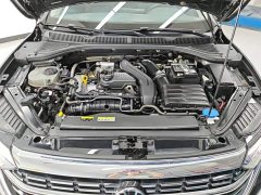 Volkswagen Sagitar 300TSI DSG Excellence Edition - ფოტო 10