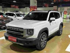 Great Wall Dachshund 2024 1.5T DCT Labrador Edition - ფოტო 1