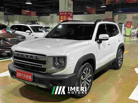 2025 Great Wall Dachshund 2024 1.5T DCT Labrador Edition - ავტომობილი ჩინეთიდან