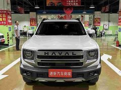 Great Wall Dachshund 2024 1.5T DCT Labrador Edition - ფოტო 2