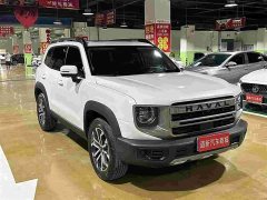 Great Wall Dachshund 2024 1.5T DCT Labrador Edition - ფოტო 3