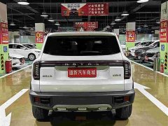 Great Wall Dachshund 2024 1.5T DCT Labrador Edition - ფოტო 8