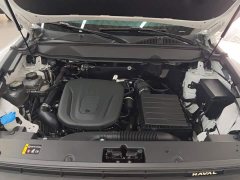 Haval Manlong New Energy Hi4 102 Pro - ფოტო 10