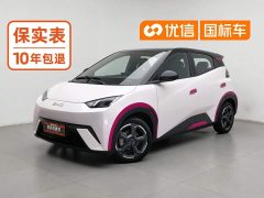 BYD Seagull Glory Edition 305km Freedom Version - ფოტო 1