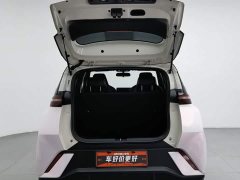 BYD Seagull Glory Edition 305km Freedom Version - ფოტო 16