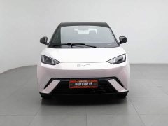 BYD Seagull Glory Edition 305km Freedom Version - ფოტო 3