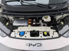 BYD Seagull Glory Edition 305km Freedom Version - ფოტო 6