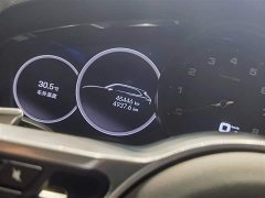 Porsche Cayenne 3.0T Platinum Edition - ფოტო 15