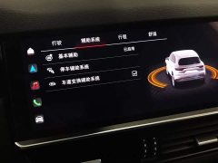 Porsche Cayenne 3.0T Platinum Edition - ფოტო 16