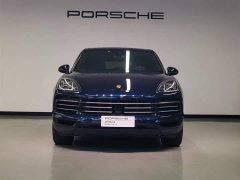 Porsche Cayenne 3.0T Platinum Edition - ფოტო 17