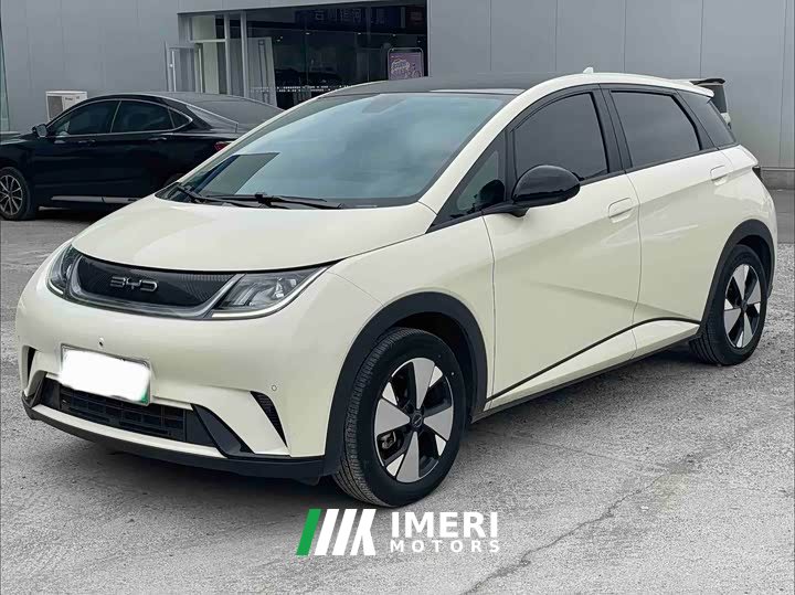 BYD Dolphin 2023 420km Fashion Edition - ავტომობილი ჩინეთიდან