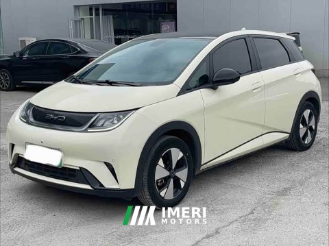 2024 BYD Dolphin 2023 420km Fashion Edition - ავტომობილი ჩინეთიდან