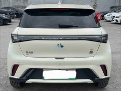BYD Dolphin 2023 420km Fashion Edition - ფოტო 4