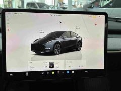 Tesla Model Y Rear-Wheel Drive - ფოტო 11
