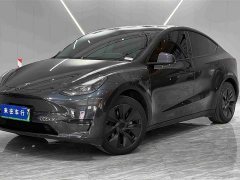 Tesla Model Y Rear-Wheel Drive - ფოტო 2