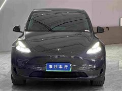 Tesla Model Y Rear-Wheel Drive - ფოტო 3