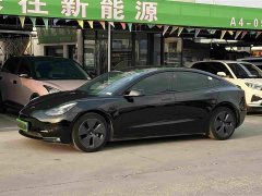 Tesla Model 3 Rear-Wheel Drive - ფოტო 1